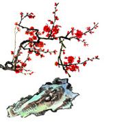 plum bloom and stone