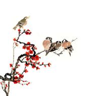 plum bloom and animal N17