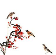 plum bloom and animal N50