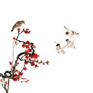 plum bloom and animal N51