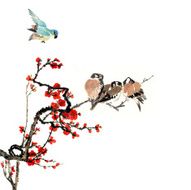 plum bloom and animal N54