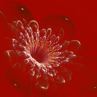 Beautiful flower on vinous background