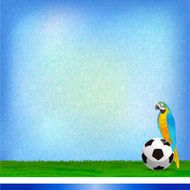 Brazil and Football background N2