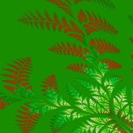 Asymmetrical pattern of the leaves in red and green