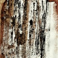Grunge Background N187