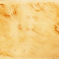 watercolor texture N24