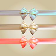 Colorful Silk Ribbon with Bow Set