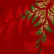 Asymmetrical pattern of the leaves in red and green N2