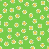 Seamless camomile pattern