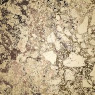 Grunge Background N195