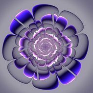 Beautiful purple flower on gray background