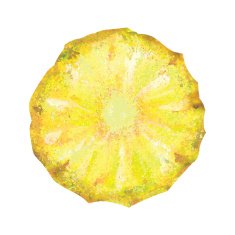 Vector watercolor pineapple