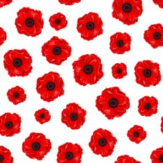 Seamless pattern with red poppies Vector illustration N2
