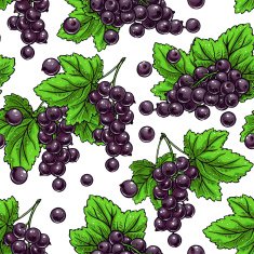 seamless black currants