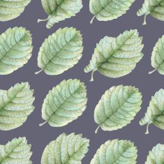 Seamless pattern with beautiful spring leaves N8