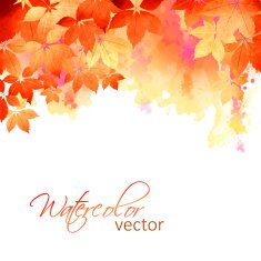 Autumn Vector Watercolor Fall Leaves N3
