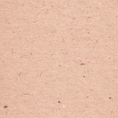 Realistic cardboard texture