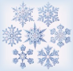 Set of ornate three dimensional snowflakes icons