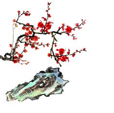plum bloom and stone