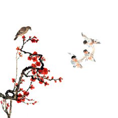 plum bloom and animal N51