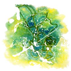 watercolor N185