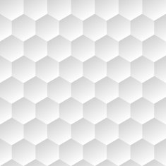 white geometric background with hexagons