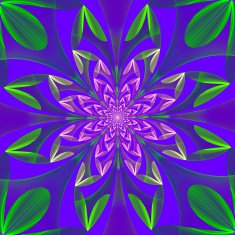 Fabulous symmetrical pattern of the leaves N6