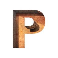 Vector metal cutted figure p Paste to any background N2
