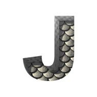 Vector silver cutted figure j Paste to any background