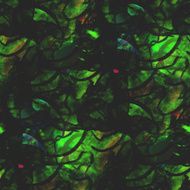 abstract vintage green avant-garde watercolor seamless texture h