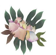 batik peony isolated