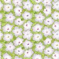 flowers seamless wallpaper N4