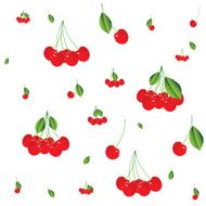Cherry Background N5