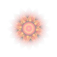 Vector flower Eps10