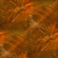 sunlight circle spot texture yellow brown abstract watercolor