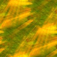 sunlight abstract seamless hand painted watercolor green yellow
