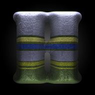 vector colored clay letter h