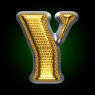 vector silver figure with gold y