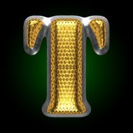 vector silver figure with gold t