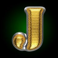 vector silver figure with gold j