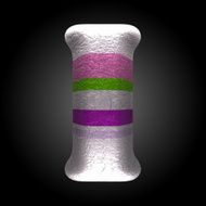 vector colored clay letter i N7