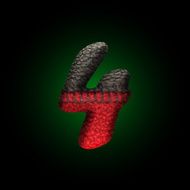 vector wool letter N5