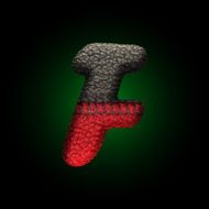 vector wool letter N23