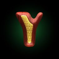 vector golden figure with red wood N13