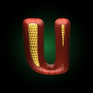 vector golden figure with red wood N16