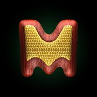 vector golden figure with red wood N24