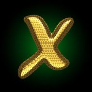 vector golden letter N11