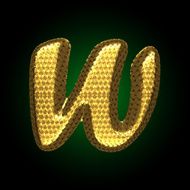 vector golden letter N12