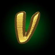 vector golden letter N13