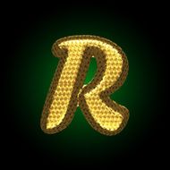 vector golden letter N16
